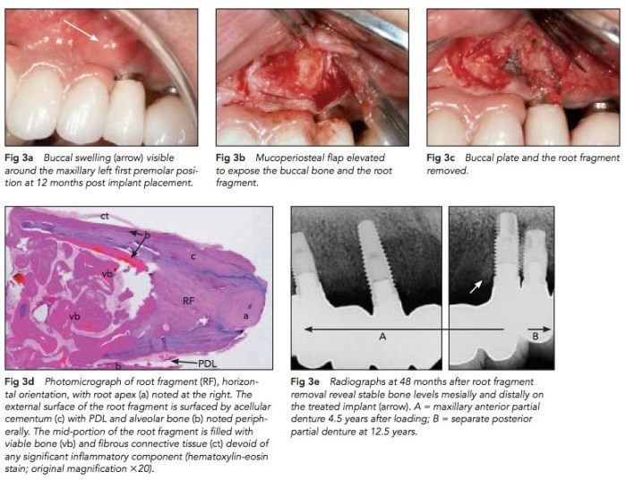 IJPRD 2015 Vol.35-8.jpg